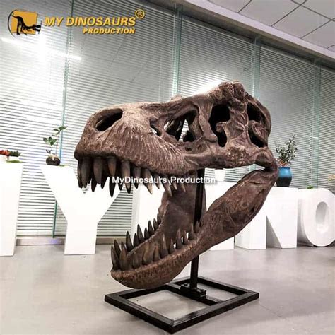 t rex skull replica 1:1|life size t rex skeleton.